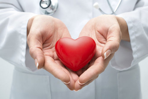 Hands holding a heart
