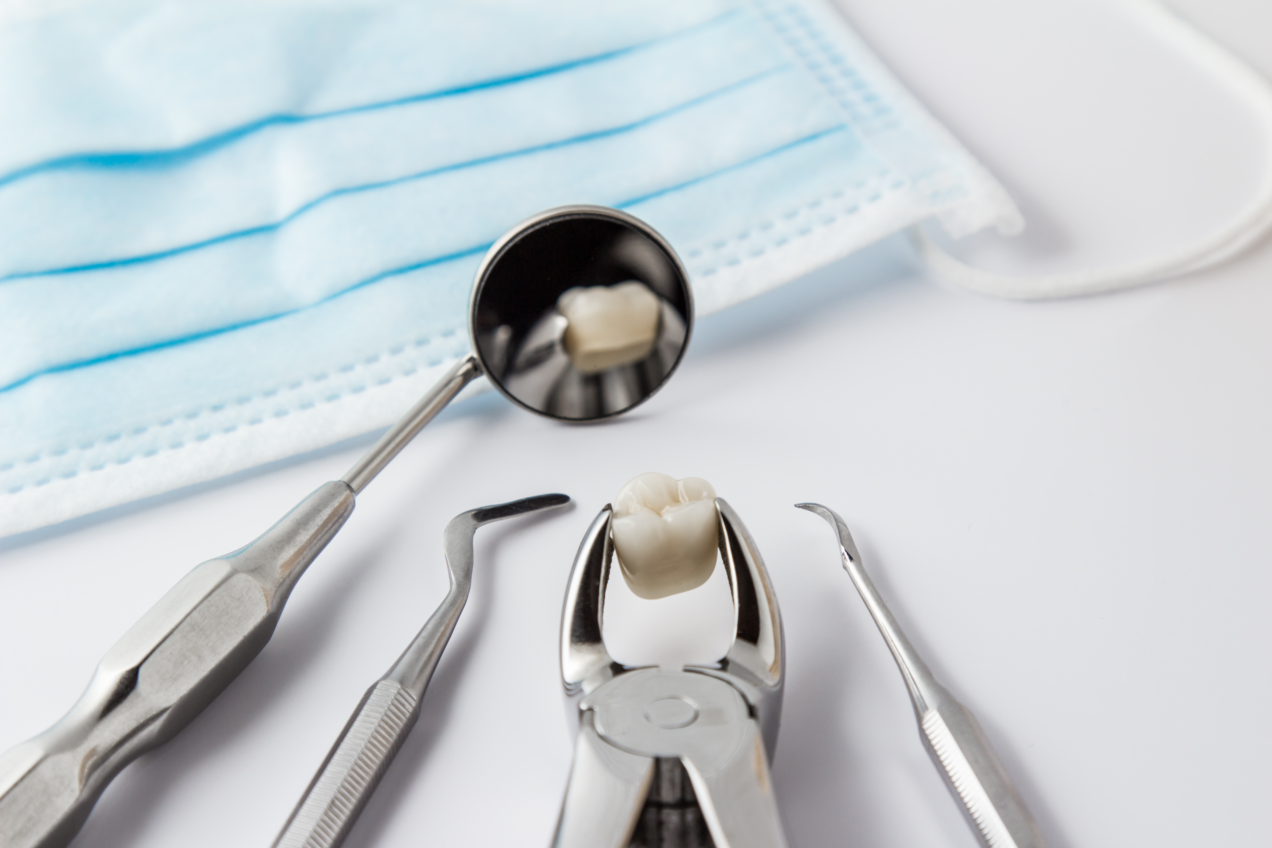 An extracted tooth at Timothy H. Kindt, DDS in Mesa, AZ